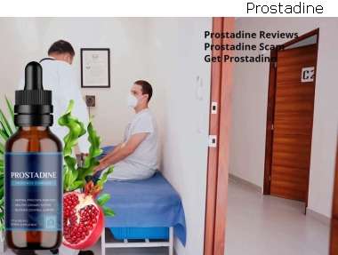 Prostadine For Bladder